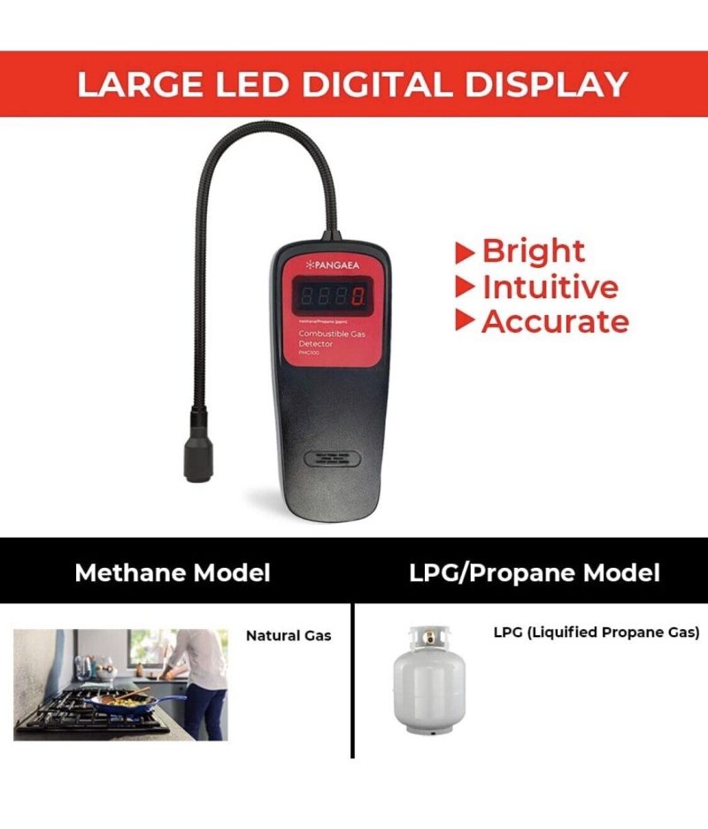 PANGAEA Digital  Detector Portable Natural Tester Detector, Bright LED-E1